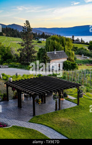 Motivi, Summerhill Pyramid Winery, Kelowna, Okanagan Valley, British Columbia, Canada Foto Stock