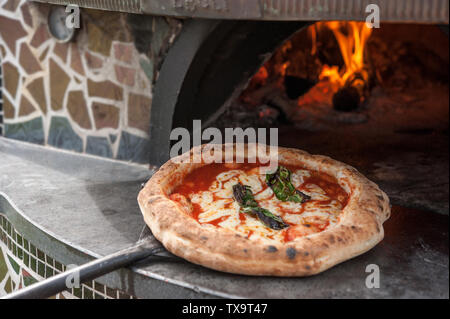 Hot pizza Margherita sulla buccia appena al di fuori del forno a legna. Foto Stock