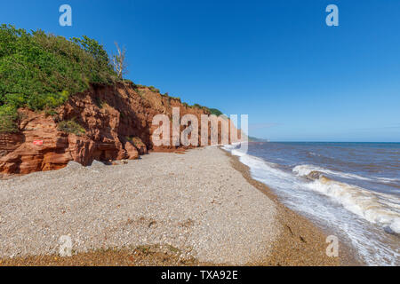 Vista della collina di Salcombe e scogliere guardando ad est da Sidmouth, una piccola e rinomata costa sud cittadina balneare nel Devon, sud-ovest Inghilterra Foto Stock