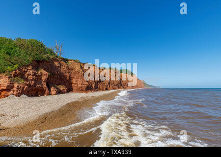 Vista della collina di Salcombe e scogliere guardando ad est da Sidmouth, una piccola e rinomata costa sud cittadina balneare nel Devon, sud-ovest Inghilterra Foto Stock