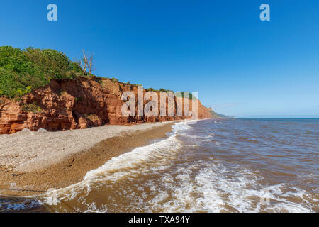 Vista della collina di Salcombe e scogliere guardando ad est da Sidmouth, una piccola e rinomata costa sud cittadina balneare nel Devon, sud-ovest Inghilterra Foto Stock