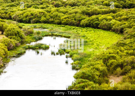 Hulunbuir Bayan Hushuo tribale mongolo wetland, Mongolia interna Foto Stock