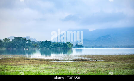 Regione Dambule, regione centrale, Sri Lanka. Sul modo di soggiornare in un hotel da un lago, l'aria fresca del mattino. Foto Stock