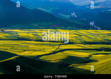 Paesaggio naturale di montagna Zhuoer, Qinghai Foto Stock