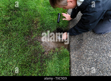 Il sistema di sprinkler essendo riparato da uomo maturo con parti la posa a terra Foto Stock