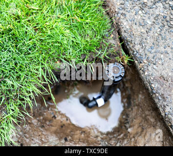 Il sistema di sprinkler riparate con la nuova valvola pronto per l'uso di acqua Foto Stock