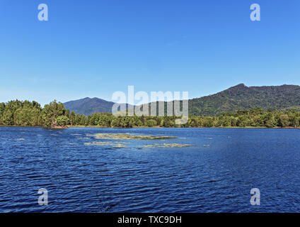 Inverno pieno di sole del giorno a Jabiru Aeroporto lago nel Cattana zone umide la conservazione della natura parco vicino a Smithfield a nord di Cairns, Queensland Australia Foto Stock