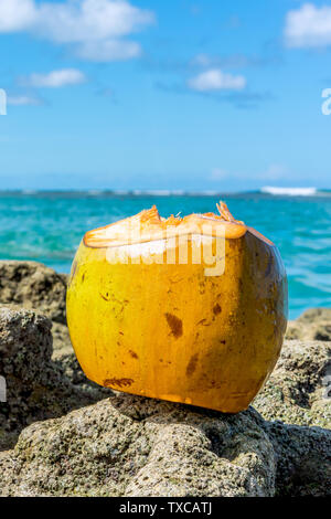 Bellissimo il cocco al Coral rocce vicino al mare in un cielo blu giorno a Porto de Galinhas Beach, Ipojuca, Pernambuco, Brasile Foto Stock