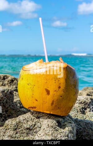 Bellissimo il cocco al Coral rocce vicino al mare in un cielo blu giorno a Porto de Galinhas Beach, Ipojuca, Pernambuco, Brasile Foto Stock