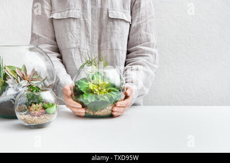 Donna di mani mini giardino succulente in vetro vaso florarium. Home Giardinaggio concepp hobby, spazio di copia Foto Stock