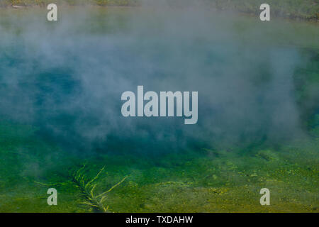 Grand Prismatic Spring come visto dal lungomare Foto Stock