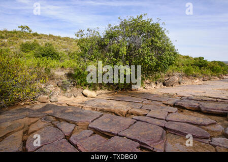 Trekking nel bellissimo canyon Torotoro, Torotoro, Bolivia Foto Stock