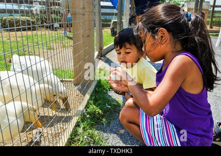 Bambini alimentazione di anatre, Virginia, Stati Uniti d'America, signor#447J Foto Stock