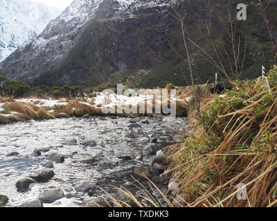 Immagini nitide, acqua fresca corrente che fluisce attraverso una valle sul Milford Road Foto Stock