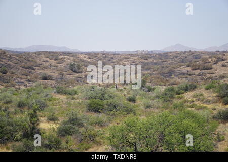 Un paesaggio carbonizzato rimane dopo la montagna fuoco bruciavano 7,470 acri in Rio Verde, Arizona - Estate 2019 Foto Stock