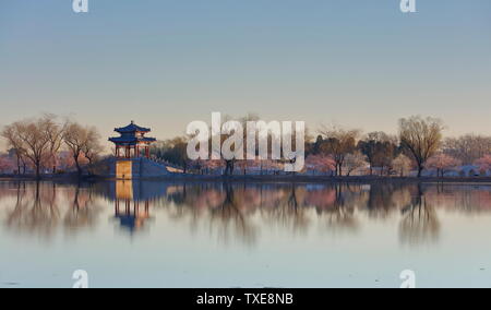 La Peach Blossoms in occidente argine del Beijing Summer Palace sono in piena fioritura. Foto Stock