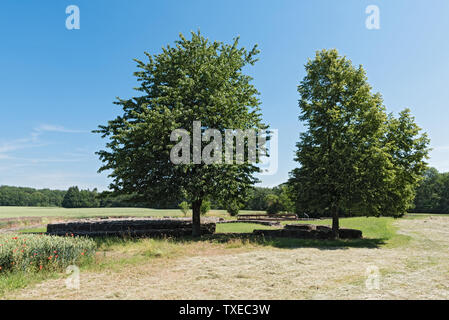 Castello abbandonato arnsburg a muschelheim nel wetterau Hesse in Germania Foto Stock