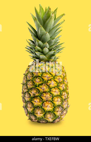 Ananas isolato su sfondo giallo Foto Stock