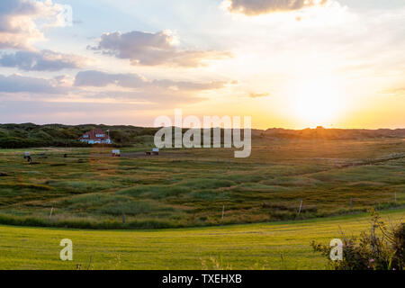 Le saline a Juist un Est isola Frisone in Germania in estate. Foto Stock