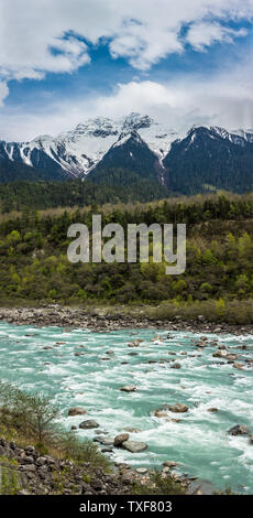 Paesaggio naturale dell'Nyingzhi Niyang River, Tibet, Cina Foto Stock