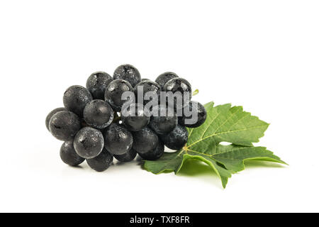 Una foto di uva nera su isolare lo sfondo bianco Foto Stock