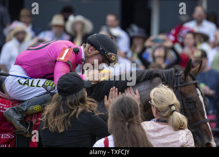 La guerra di volontà e Jockey Tyler Gaffalione vincitore di Preakness Stakes gara a Pimlico Race Course di Baltimora, Maryland il sabato 18 maggio, 2019. Foto di Tasos Katopodis/UPI Foto Stock