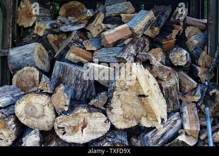 Grandi e piccoli pezzi di legna da ardere pronto per mantenere la casa calda e tostato durante la stagione invernale. Foto Stock