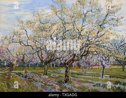 Vincent van Gogh scuola olandese il bianco Orchard Aprile 1888 olio su tela (60 x 81 cm) di Amsterdam, il Museo di Van Gogh Foto Stock