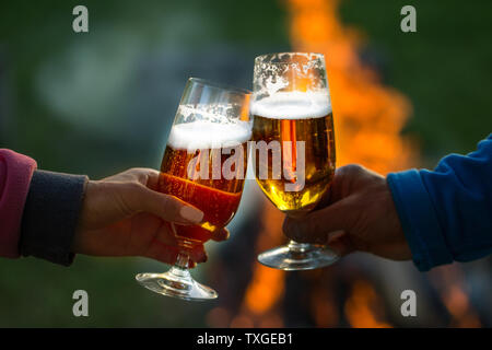 Famiglia di età diverse persone allegramente festa all'aperto con bicchieri di birra proclamare toast. Foto Stock