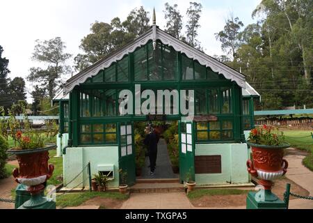 Il Fern House presso il governo Giardini Botanici, Ooty (Udhagamandalam), Tamil Nadu, India Foto Stock