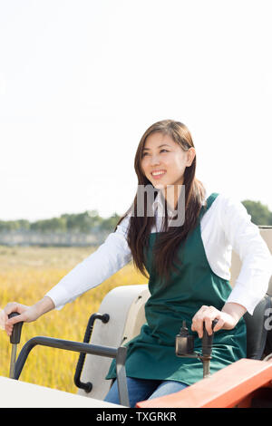 Giovane donna cinese agonomist in golden campo di cereali con piccole harvester Foto Stock