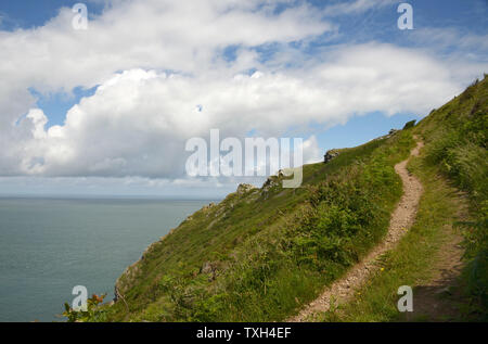 La via che conduce fino alla scogliera, Heddon Valley, Devon, Inghilterra. Foto Stock