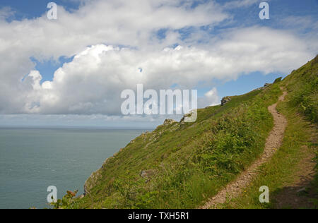 La via che conduce fino alla scogliera, Heddon Valley, Devon, Inghilterra. Foto Stock