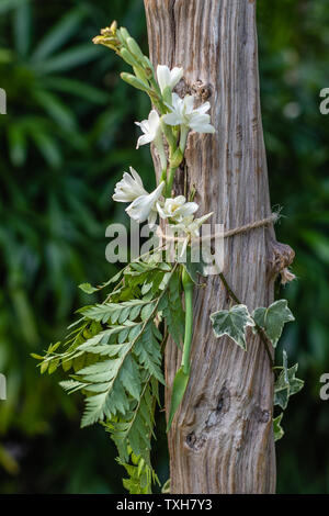 Dettaglio di un matrimonio in legno arch decorata con piante e fiori. Destinazione tropicale matrimonio. Foto Stock