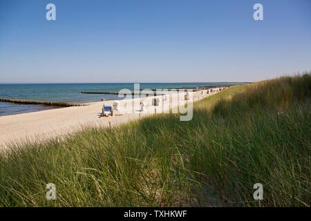 Geografia / viaggio, Germania, Meclemburgo-Pomerania occidentale, spiaggia nel Mar Baltico spa Ahrenshoop, pene, diritti aggiuntivi-clearance-Info-non-disponibile Foto Stock