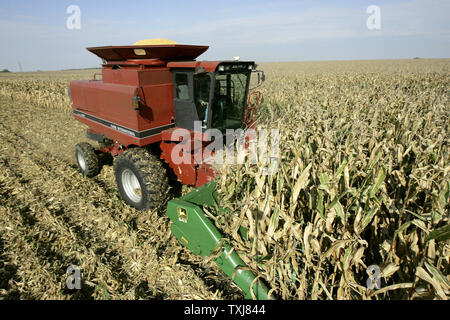 Brad Weber mais raccolti sulla terra egli affitti vicino Manteno, Illinois, il 20 ottobre 2008. Weber fattorie 450 acri a tempo parziale ma spera di acquisire più di terra in modo che egli possa essere a tempo pieno un agricoltore. Mais per dicembre consegna rose $0,155 per staio presso il Chicago Board of Trade chiudendo a $4,185 Lunedì come il rimbalzo dei mercati dell'olio cambio di messa a fuoco per gli investitori di commodities. (UPI foto/Brian Kersey) Foto Stock