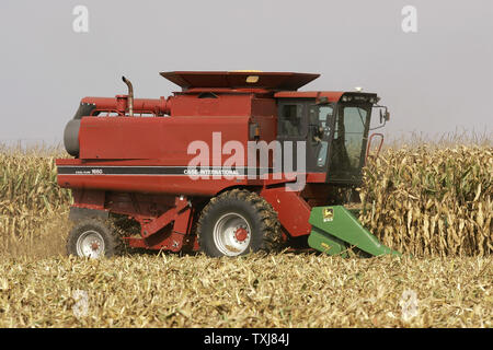 Brad Weber mais raccolti sulla terra egli affitti vicino Manteno, Illinois, il 20 ottobre 2008. Weber fattorie 450 acri a tempo parziale ma spera di acquisire più di terra in modo che egli possa essere a tempo pieno un agricoltore. Mais per dicembre consegna rose $0,155 per staio presso il Chicago Board of Trade chiudendo a $4,185 Lunedì come il rimbalzo dei mercati dell'olio cambio di messa a fuoco per gli investitori di commodities. (UPI foto/Brian Kersey) Foto Stock