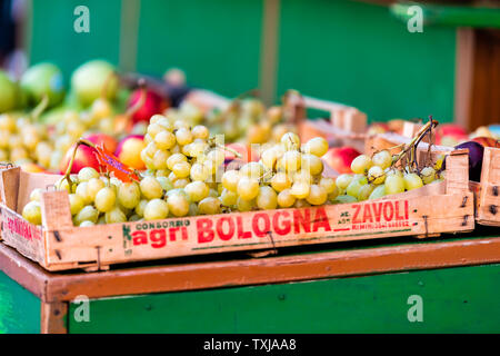 Siena, Italia - 27 agosto 2018: Closeup di fresche e mature uve verde nel mercato agricolo in Toscana durante il periodo estivo con segno di Bologna sulla gabbia in legno Scatole Foto Stock