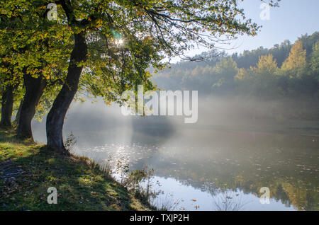 Sonnenaufgang über vedere im Nebel Foto Stock