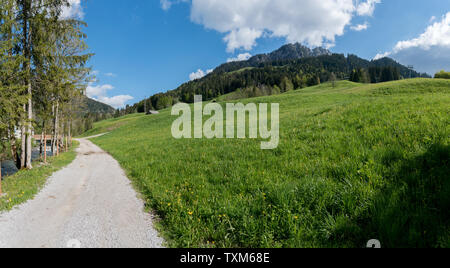 Il pittoresco paesaggio di montagna delle Alpi svizzere su un bel giorno di estate vicino al Jaunpass nel Cantone di Friburgo Foto Stock