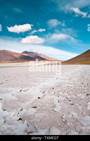 Laguna Tuyajto e Salt Lake nel Altiplano oltre 4000 metri sopra il livello del mare con crosta di sale in riva, los Flamencos riserva nazionale, Atacam Foto Stock