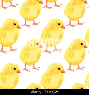 Baby Chicken seamless pattern sul bianco, sfondo vettoriale Illustrazione Vettoriale