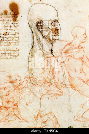 Leonardo Da Vinci, lo studio del capo di un uomo, di disegno anatomico, circa 1490 Foto Stock