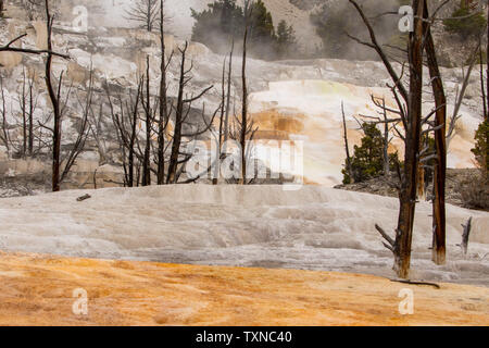 Mammoth Hot Spring vista mozzafiato Foto Stock