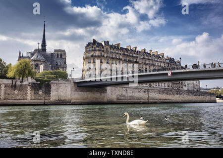 Panoramica vista sul lungomare di Ile de la Cité e dalla cattedrale di Notre Dame, Paris, Francia Foto Stock