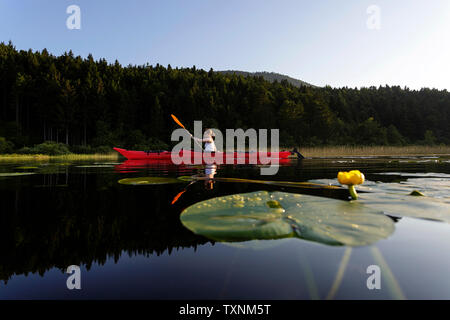 Un felice athletic donna kayak al tramonto su un lago tra fiori di loto Foto Stock