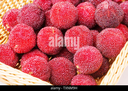 Rosso e mature waxberry sotto lo sfondo bianco Foto Stock