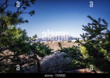 Demerdji, Alushta, Repubblica di Crimea - Aprile 1, 2019: Vista di Chatyr-Dag-Yayla dal Moonglade su Demerdzhi Чатыр-Дак Демерджи Крым горы в облаках Foto Stock