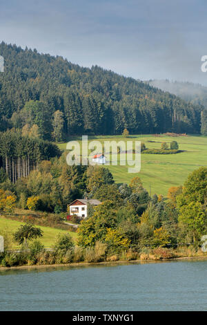 Campagna sulla riva occidentale del fiume Danubio vicino alla cittadina di Hafnerzell in Austria Foto Stock