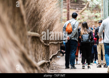 Kyoto, Giappone - 11 Aprile 2019: Arashiyama foresta di bamboo park durante il giorno con il dorso del giovane e molti turisti sul percorso Foto Stock